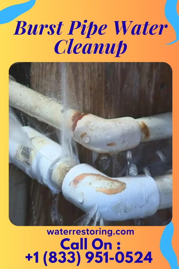 Burst Pipe Water Cleanup in Union, KY