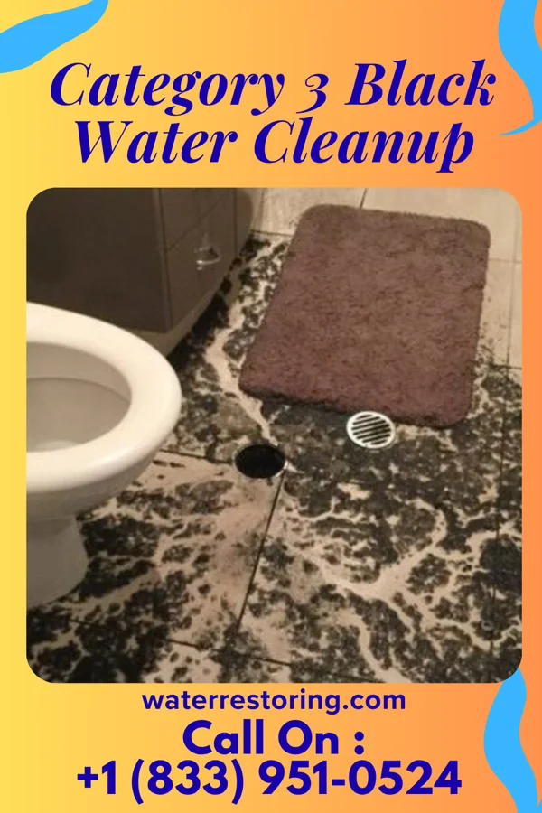 Category 3 Black Water Cleanup in Union, KY