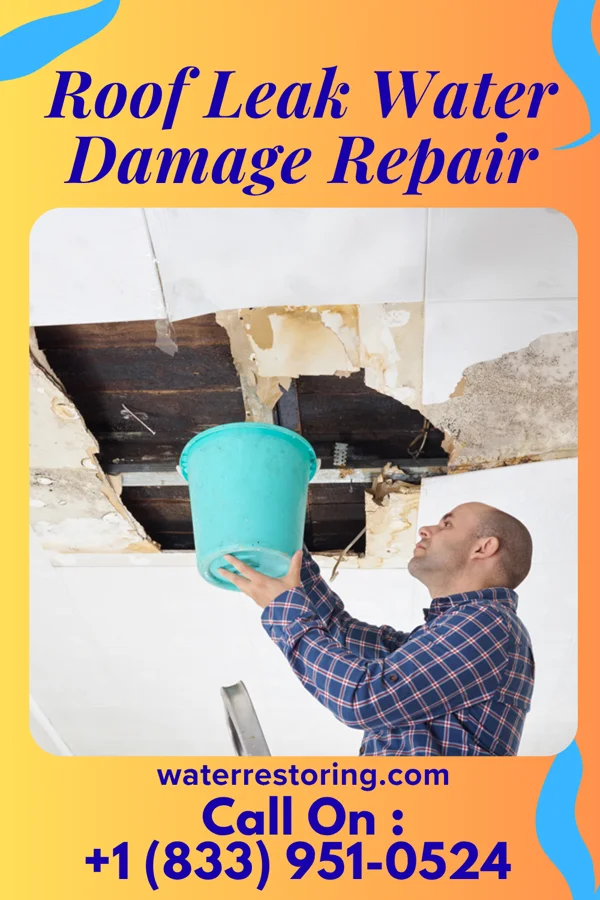 Roof Leak Water Damage Repair in Union, KY