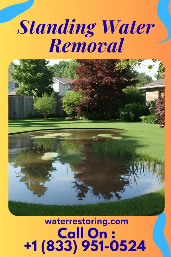 Standing Water Removal in Union, KY